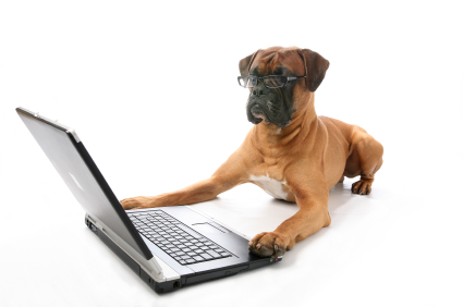 Computer Dog